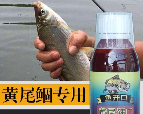 南方野钓鲈鱼的最佳窝料选择技巧（窝料选择技巧助您成功钓获南方鲈鱼）