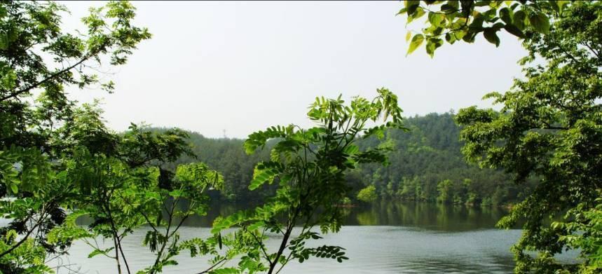 南沙湖钓鱼的技巧与方法（掌握南沙湖钓鱼技巧）