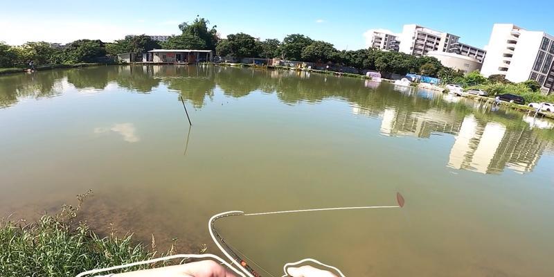 南沙野钓鲈鱼技巧（探秘南沙海域钓鲈鱼的绝佳技巧）