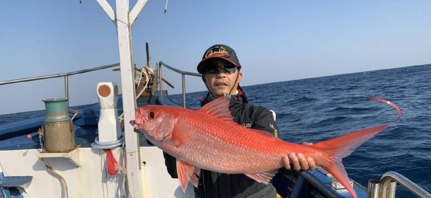 南油钓鱼技巧教程（掌握南油钓鱼技巧）