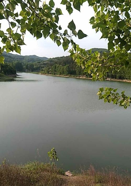 泥河水库钓鱼技巧（掌握泥河水库钓鱼技巧）