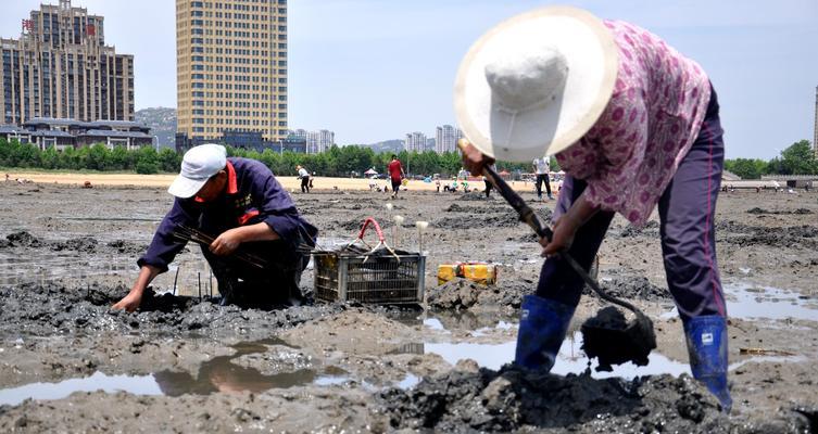 泥滩钓鱼的技巧与经验（钓鱼者必备的实用指南）