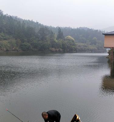 七星水库钓鱼技巧（掌握技巧提高钓鱼成功率）