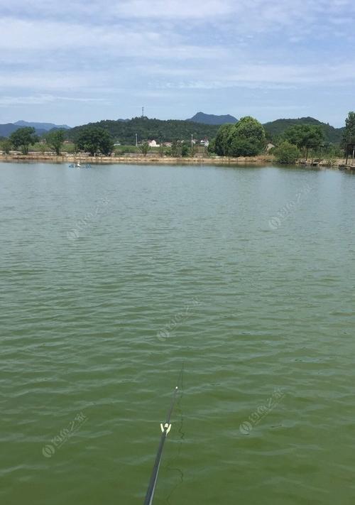 不同天气下的钓鱼技巧（掌握钓鱼技巧随天气垂钓）