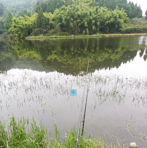 寒冷下雨钓鱼技巧（提高温度和钓鱼效果的秘诀）