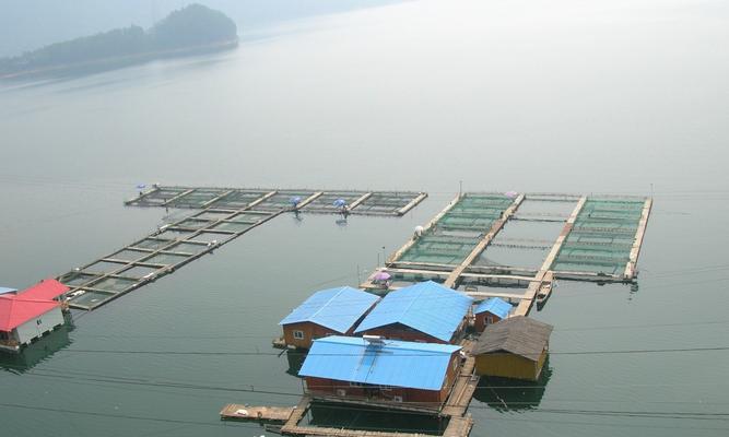 千岛湖钓鱼技巧教程（掌握千岛湖钓鱼技巧）