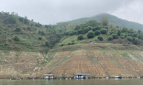 千岛湖水库钓鱼技巧大揭秘（挑战湖泊钓鱼极限）