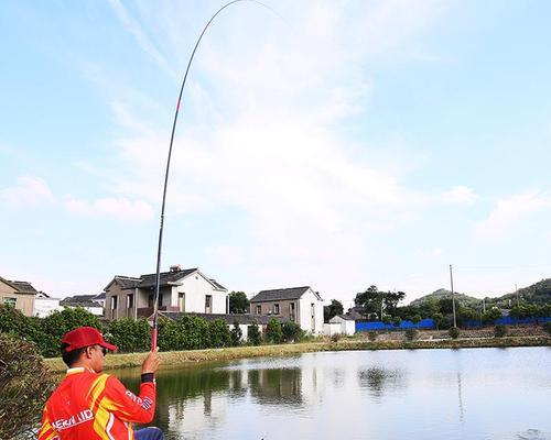 千岛湖水库钓鱼技巧大揭秘（挑战湖泊钓鱼极限）