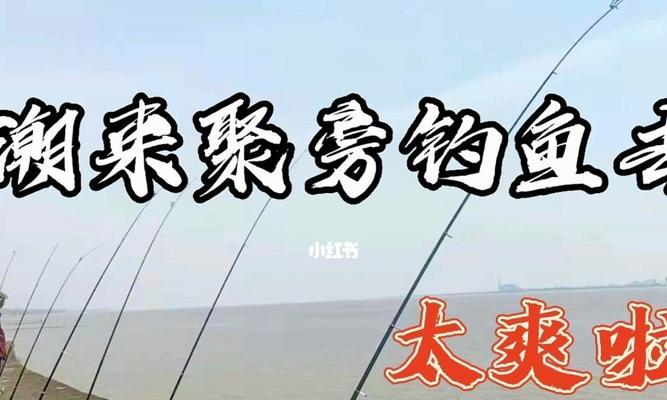 钓鱼技巧（掌握正确的技巧）