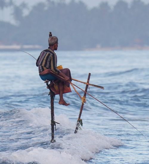 浅海钓鱼技巧大揭秘（掌握这一关键技巧）