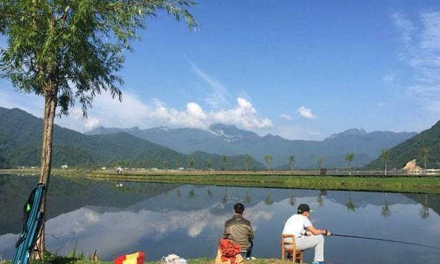 浅水草窝钓鱼的技巧与方法（揭秘浅水草窝钓鱼）