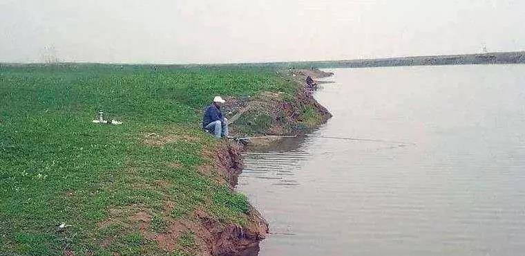 浅水钓鱼打窝技巧（掌握关键技巧）