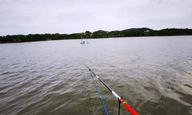 浅水河道钓鱼的技巧与方法（掌握浅水河道钓鱼的关键）