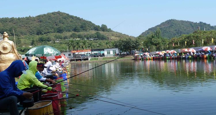 浅水黑坑钓鱼技巧（掌握钓鱼技巧）