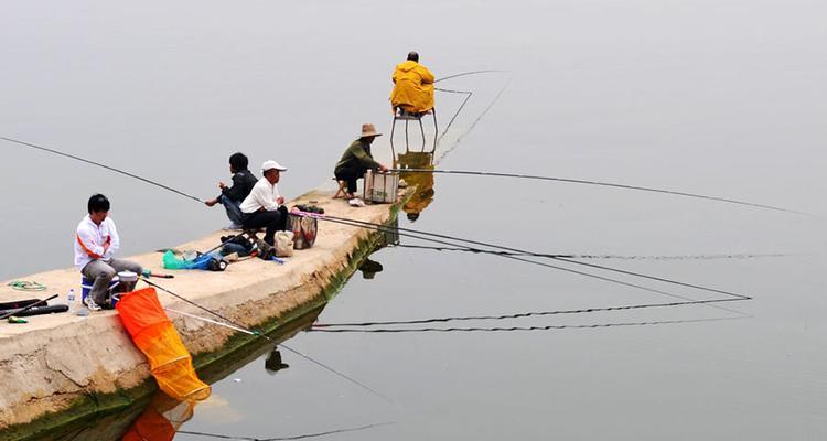 浅水湖泊钓鱼技巧（掌握成功钓鱼的窍门）