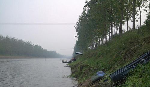 浅水流水钓鱼技巧教程（掌握关键技巧）