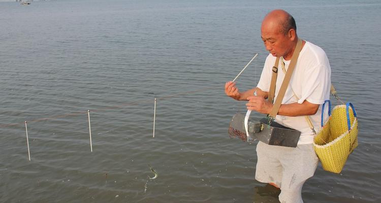 浅水面钓鱼技巧与方法（轻松掌握浅水钓鱼的技巧与秘籍）