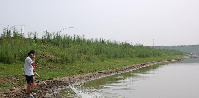 浅水区钓鱼技巧（掌握水库浅水区钓鱼技巧）