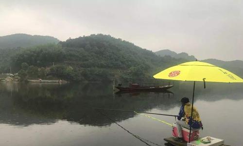 浅水区挖草洞钓鱼技巧（掌握这一关键技巧）