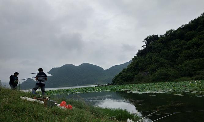 浅水溪流钓鱼技巧（掌握浅水钓鱼技巧的关键是了解环境和选择合适的饵料）