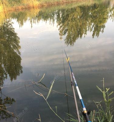 钓鲤鱼的浅水调漂技巧（揭秘浅水野钓鲤鱼的调漂方法）