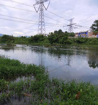 浅滩钓鱼钓位选择技巧（选择合适的钓位）