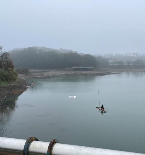 强流水钓鱼技巧大揭秘（掌握技巧）