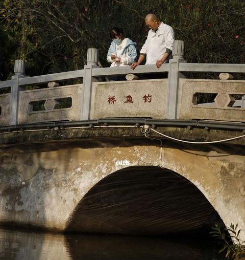 桥边钓鱼小技巧，让你轻松垂钓（掌握这些技巧）