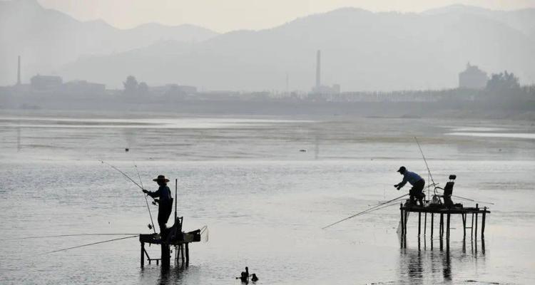 桥洞流水钓鱼技巧（技巧总结及实战经验分享）