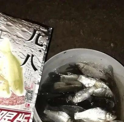 秋季夜钓鲫的四技巧（宝贵经验助你夜钓鲫鱼顺利有收获）