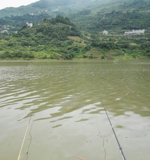 秋雨后浑水钓鱼的技巧（揭秘高效浑水钓鱼的五大技巧）