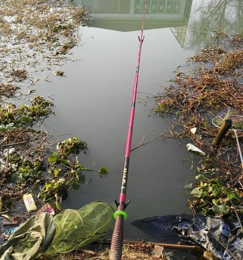 秋天钓鲤鱼技巧野河（野河中秋天钓鲤鱼的绝佳技巧）