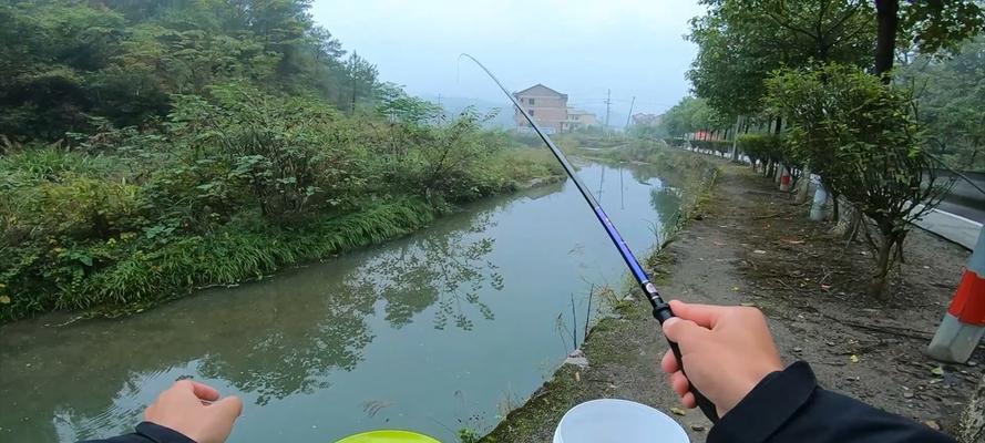 秋天钓野鱼技巧教学（挑战性钓鱼技巧及经验分享）