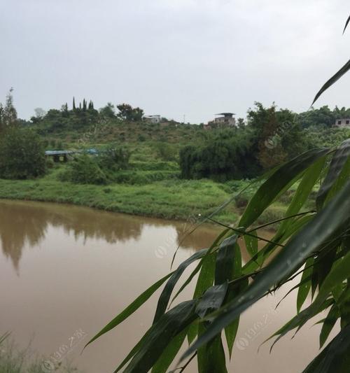 秋雨钓鱼的技巧（享受秋天雨中的捕鱼乐趣）