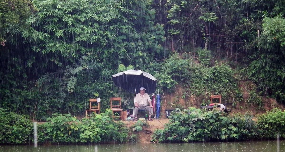 深秋天下雨天钓鱼技巧（雨中有鱼）