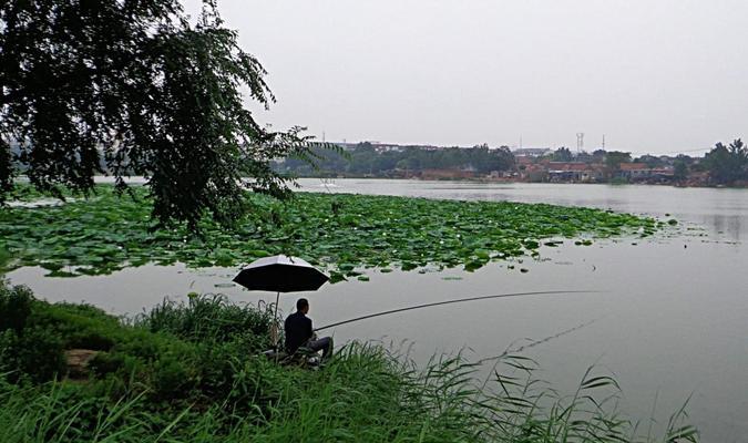 秋雨微钓，收获满盆（秋天小雨天气下钓鱼的技巧与心得）