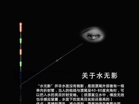 秋夜钓鲫鱼，技巧与方法（探寻夜晚的渔获宝藏）