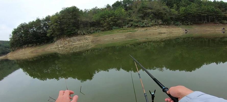 山体水库野钓大鲤鱼的技巧（探秘山体水库中的钓鲤妙招）