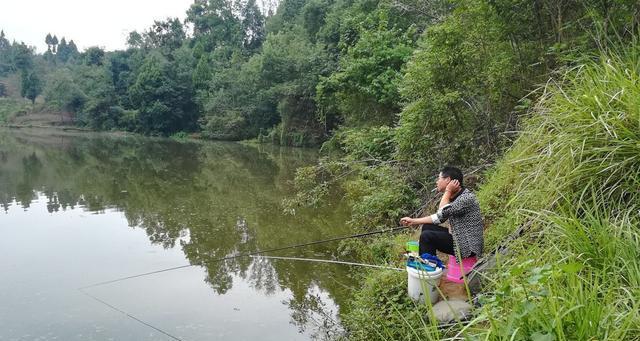 云南山体水库野钓鲤鱼技巧（攻略分享）