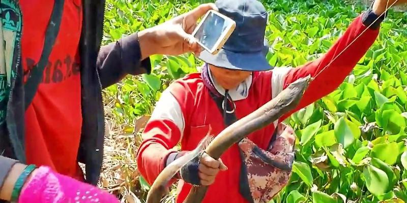 鳝鱼养殖池钓鱼技巧大揭秘（有效的钓鱼方法和技巧助你享受丰收乐趣）