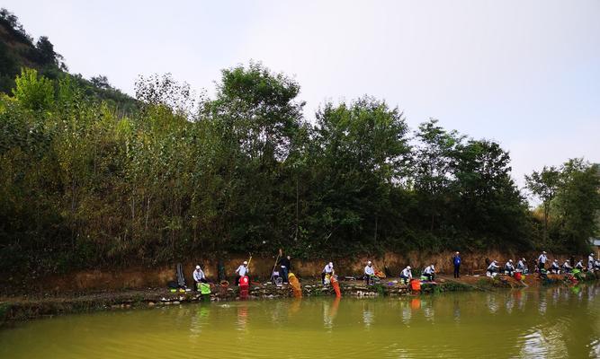 商业钓鱼比赛的组织与技巧（打造成功商业钓鱼比赛的关键方法）