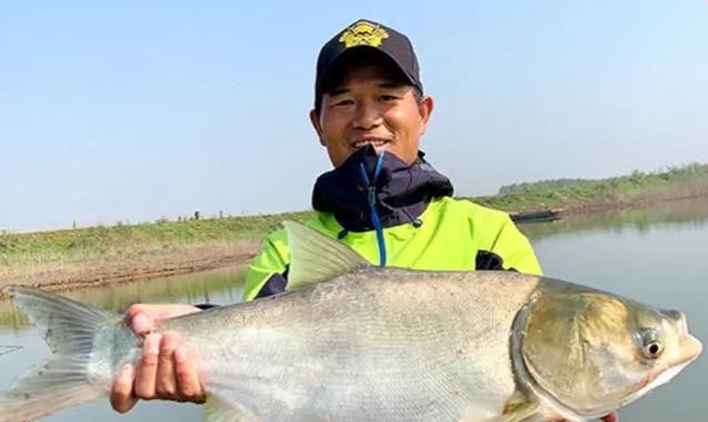 上海长杆钓鱼技巧（一文教你成为长杆钓鱼高手）