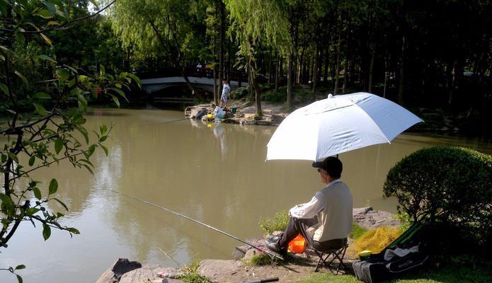 《韶关沐溪水库钓鱼技巧》（探寻水库的鱼群分布与饵料选择）