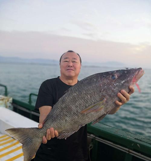 深海桥墩钓鱼技巧（掌握深海桥墩钓鱼的技巧）