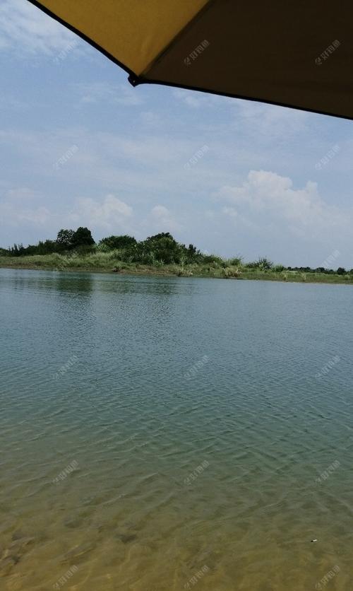 秋季深水野钓技巧（挑战深秋大水面）