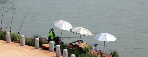 深秋河流野钓技巧（享受秋日渔乐）