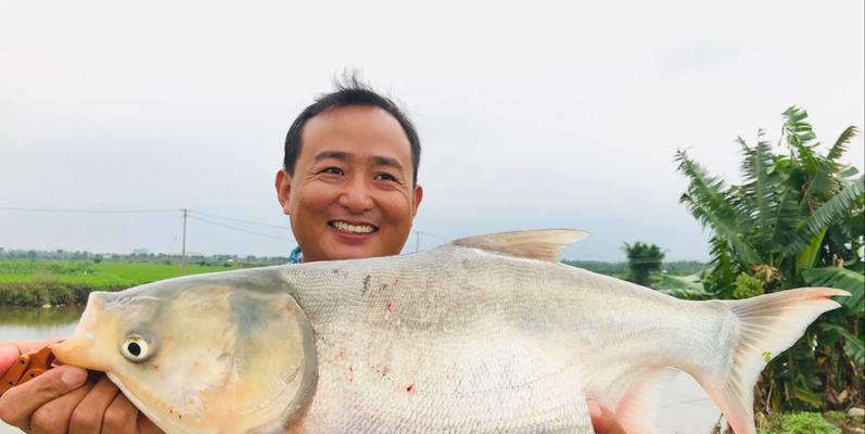 深秋野钓鲢子鱼的技巧与经验（钓友必知的秋季钓鲢子鱼攻略）