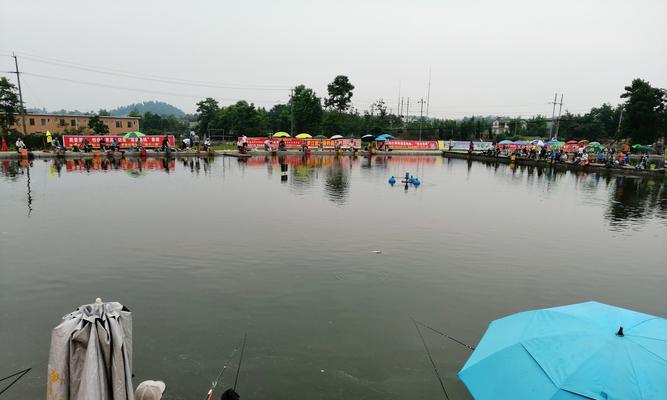 深秋雨天池塘钓鱼技巧（掌握这些技巧）