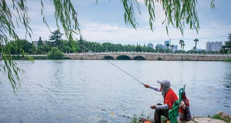 深秋钓鱼技巧（享受秋日渔乐）