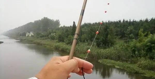 双铅钓法野钓浮漂的选择技巧（提升野钓水平）